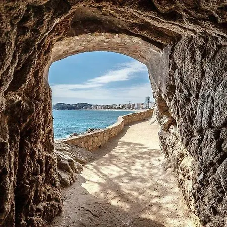 Maria * يوريت دي مار