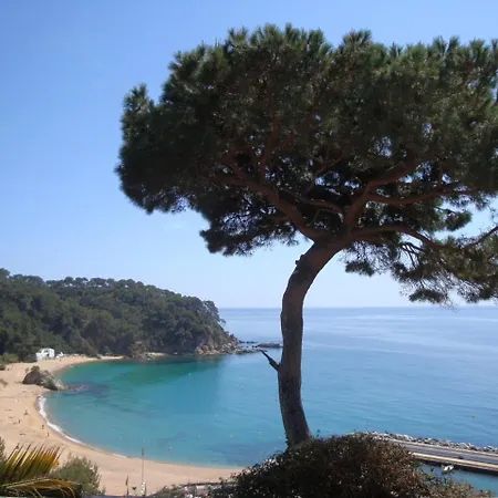 Maria Willa Lloret de Mar