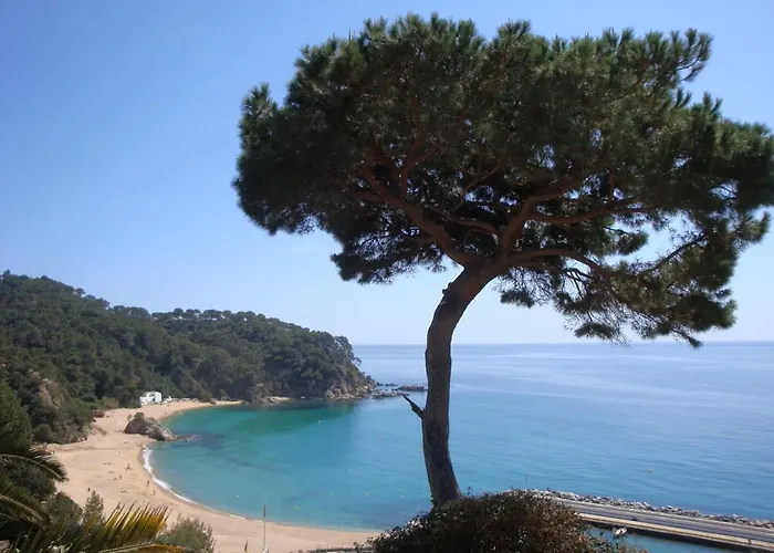 Maria Villa Lloret de Mar